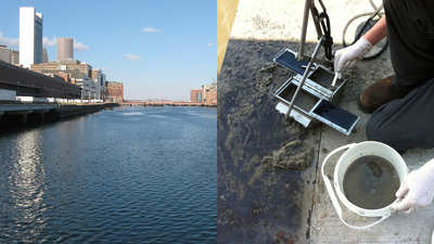 Channel Flushing And Particle Fate: Study finds rapid sediment trapping; pollution remains in harbor