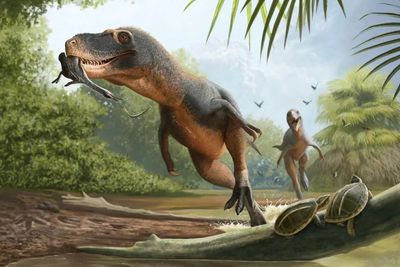 One of science’s biggest mysteries could be solved by fossilised feather in dinosaur dung