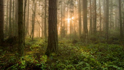 In the 1950s, Hugo Meyer bought abandoned Vermont farms; his family has protected 18,000+ acres