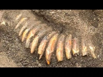 5,000-year-old Polish grave discovered beneath a Roman-era cemetery held a necklace made of 42 animal teeth, a battle axe and two mysterious human skulls