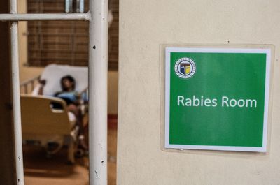 Rabies Vaccine Use Rose 33 Percent This Summer as CDC Warns Clinicians About Errors in Post-Exposure Treatment