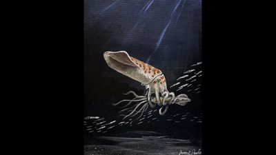 Meet Cliff Linster, whose Jurassic “squid” sat 30 years before being named a new species