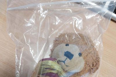 Tiny urn containing ‘human ashes’ lost on train between London and Aberdeen