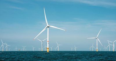 Wind farm for 2 million homes faces backlash over islands impact