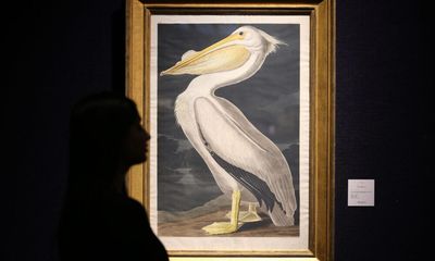 The National Audubon Society Kept Its Name. These Chapters Are Leaving It Behind.