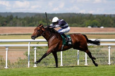 St Leger tips: Best bets and odds for Doncaster on Saturday