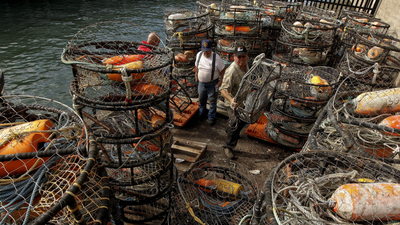 California officers found 194 abandoned Dungeness crab traps off two rivers; violations wasted...