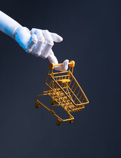 The Rise of Agentic Commerce: When Autonomous AI Agents Do Your Weekly Grocery Shopping