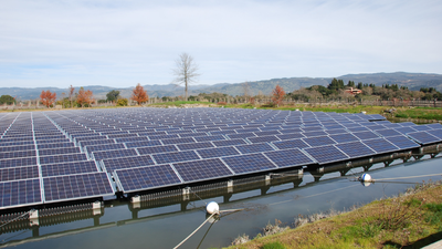 A 27-year-old Tennessee diesel mechanic wanted to farm full-time; solar sites gave his sheep...