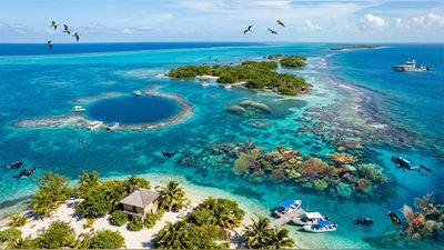 In 2009, Belize’s Barrier Reef System was listed as endangered by UNESCO. 9 years later, oil drilling limits and protected fishing zones helped reverse its decline