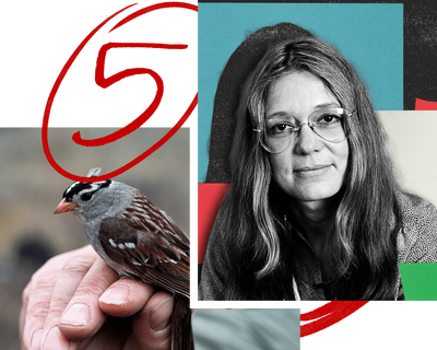 Five Great Reads: Gloria Steinem, men’s therapy, and slime moulds
