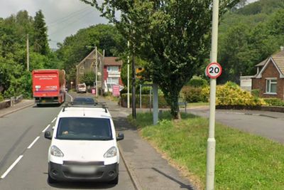 Almost a fifth of drivers say overgrown plants have caused them to speed
