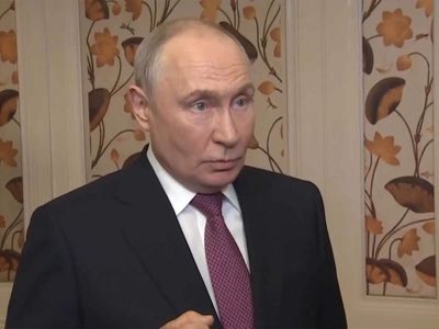 "Everything happening in Europe is result of systemic mistakes by the West": Putin on rise of 'Alternative for Germany'