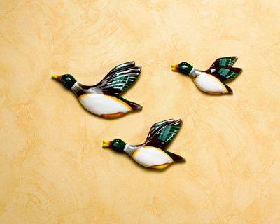 What is the UK’s heaviest and fastest flying duck? The Saturday quiz