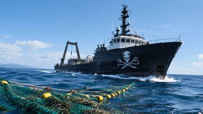 Sea Shepherd Ship’s Covert Role: Sam Simon funds MY Sam Simon; longest pursuit hits illegal fishing