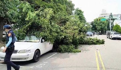 綠浪吞車壓街！台中路樹突斷裂倒伏 3車遭殃