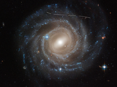 In 2019, 11,482 Hubble Asteroid Hunter volunteers helped train an AI that scanned 37,000 Hubble images; the combined effort uncovered 1,701 asteroid trails, including 1,031 unknown objects