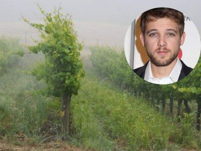 Max Thieriot’s 90-acre California ranch is far from a typical celebrity home with a working Pinot Noir vineyard, ocean views and rolling land where his family built a wine legacy