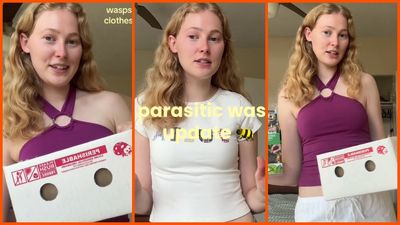 Washington, DC woman saves moth-infested vintage clothing using wasps. But the internet thinks she should reconsider: ‘Mothballs weren’t an option?’
