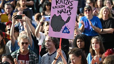 Tens of thousands protest against far-right AfD party in Germany