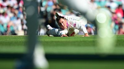 Punters' own backyard slice of SCG history up for grabs