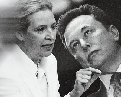 The AfD won a shock election in Germany. Elon Musk was thrilled