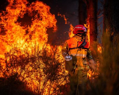 Who are the 514 people accused of starting French wildfires and what motivates them?