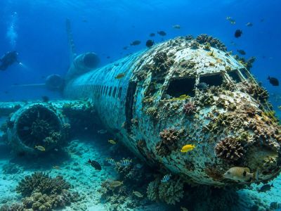 In 2019, Jordan sank a Lockheed L-1011 TriStar in waters up to 92 feet deep; three years later, its fuselage and wings sheltered corals, sponges, octopuses and pufferfish