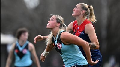 Demons crush Port, Swans, Richmond win in AFLW