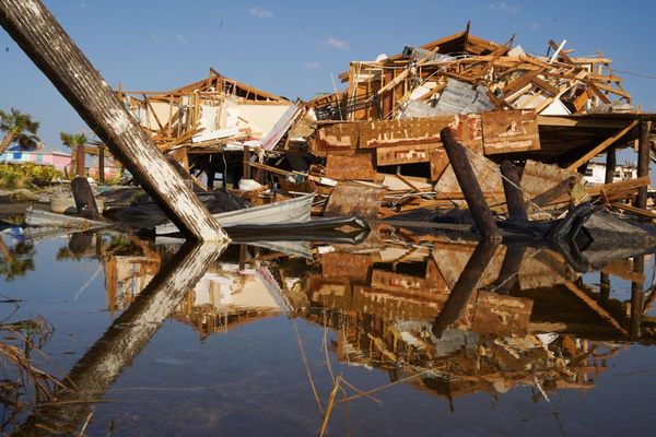 Lawyer charged over alleged insurance fraud after Hurricane Ida poised to plead guilty