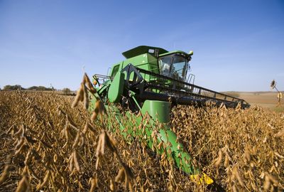 How soybeans took over the American diet