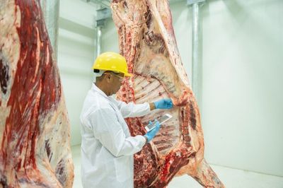 The Autonomous Cold Chain: How Computer Vision and IoT Sensors Are Eliminating Food Spoilage at Scale