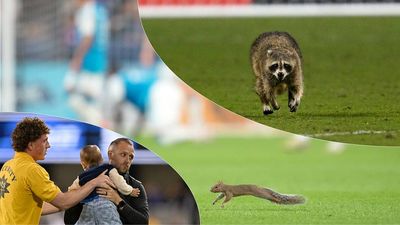 Squirrel Halts Match, Joins Dogs, Babies in Growing List of MLS’s Wild Pitch Invaders