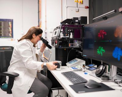 Researchers hope powerful new microscope will reveal ‘root cause’ of incurable bowel disease