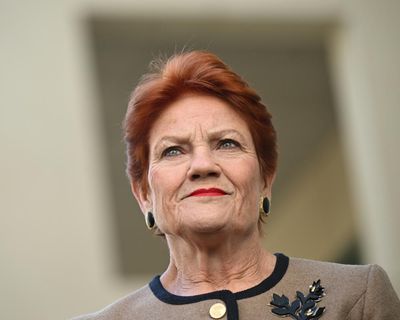One Nation’s plan to cut migration by 750,000 would ‘smash economy’ and force hospitals to close, Labor says