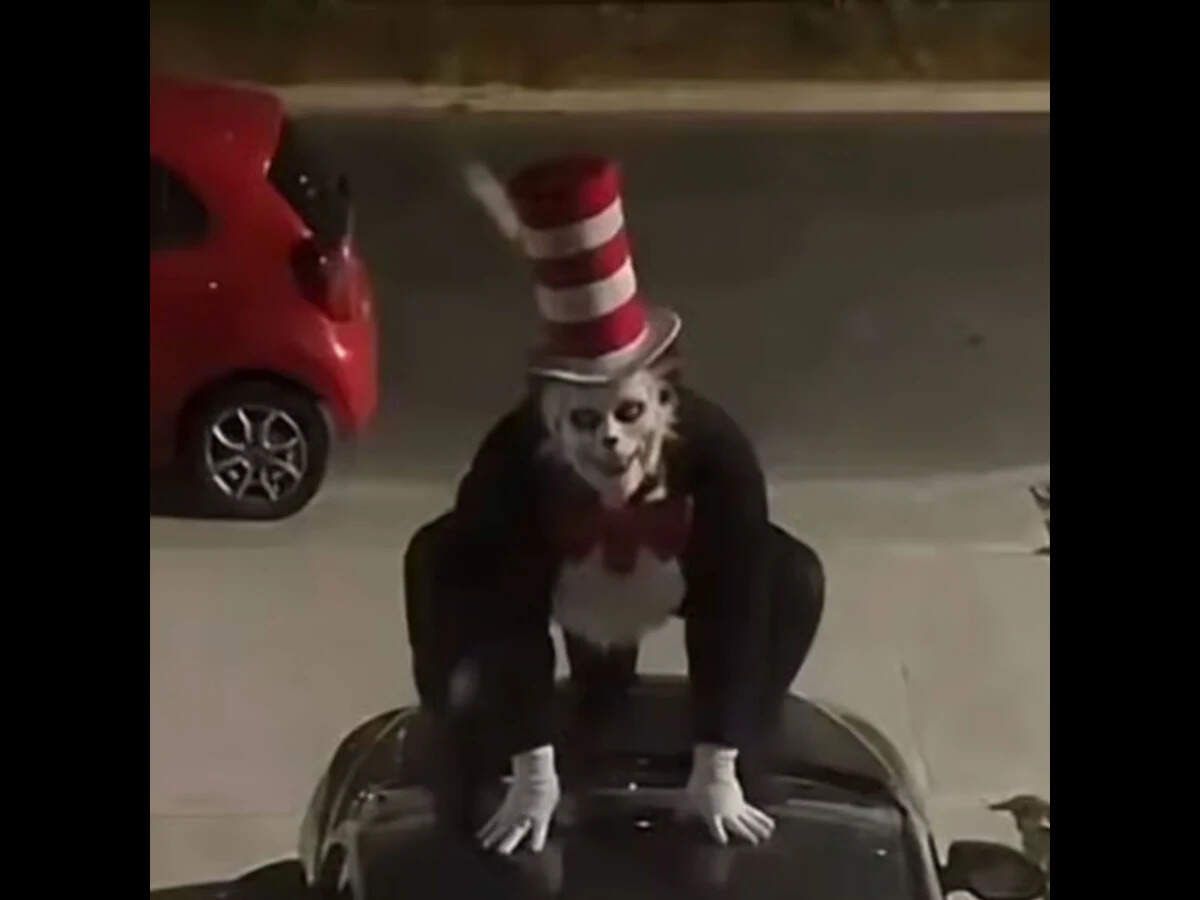 What is the ‘Cat in the Hat’ trend? Inside the creepy AI-fuelled phenomenon now triggering US school warnings, police action and arrests