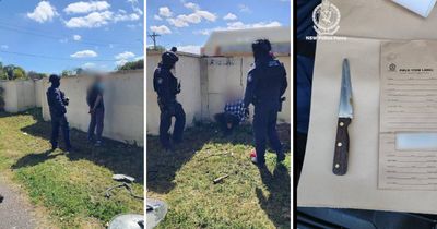 Pair behind bars accused of terrifying targeted domestic violence stabbing