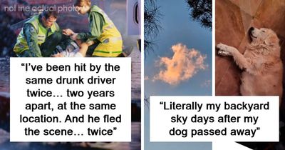 “It’s Not AI”: 63 People Who Got Called Liars For Telling Stories They Swear Are 100% True