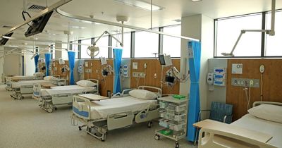 New owners for two private hospitals in the Hunter under Healthscope sale