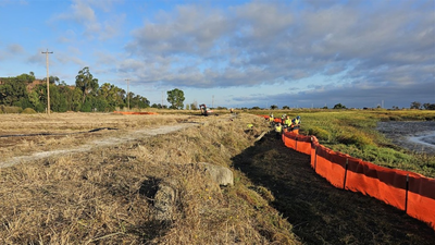 Palo Alto’s 500-foot horizontal levee reuses wastewater to restore marshes and test sea-rise defence