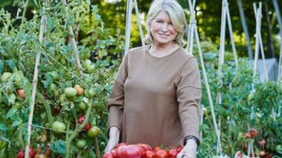 Martha Stewart’s 152-acre farm now has 100+ chickens and 11 pheasants