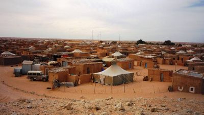 Hydroponic Trays Aid Refugees: WFP pilot grows barley in 7 days; livestock health improves