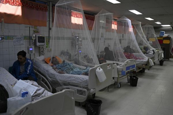 Florida Investigates a Tampa Death Possibly Tied to Dengue as Hillsborough Accounts for 95 of 111 Local Cases