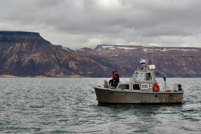 Alaskan Teen Survived 62 Hours in Frigid Bering Sea After Boat Capsized: How Did He Stay Alive?