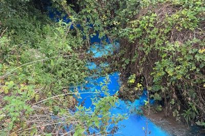 Polluted Devon river turns fluorescent blue at beauty spot