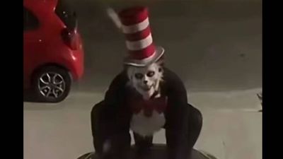 'Cat in the Hat': Creepy viral trend sparks school warnings and teen arrests in US