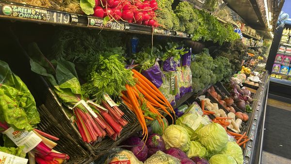 Washington Accounts for 16 of 22 Sprout Salmonella Illnesses as Spokane and Skagit Counties Add New Cases