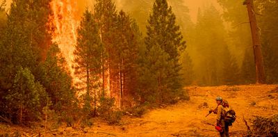 Wildfire strategy doesn’t need a winner – with 3 camps fighting for dominance, the system can’t keep up with the risk