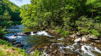 Family donates 47 acres to expand Audra State Park