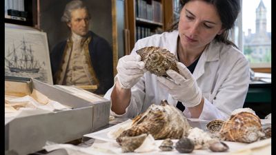 In the 1980s, rare shells linked to Captain Cook were thrown into a university dumpster; 40 years later, the forgotten collection returned to England's heritage archives